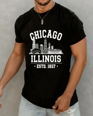 Chicago Illinois Skyline...