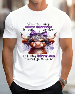 Sorry My Nice Button Is Out...